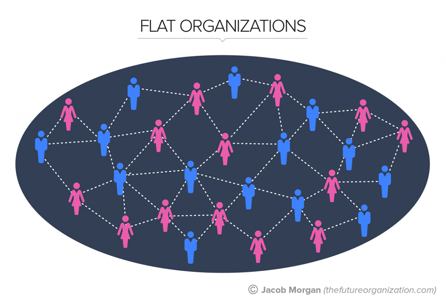 how flat organisation work