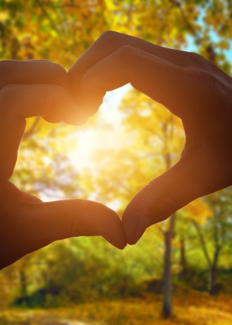 THE JOY OF CUSTOMER EXPERIENCE KEN HUGHES