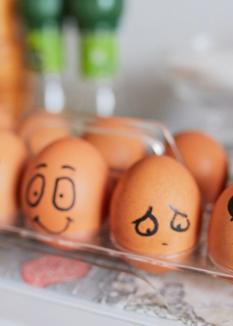 eggs-customer-experience
